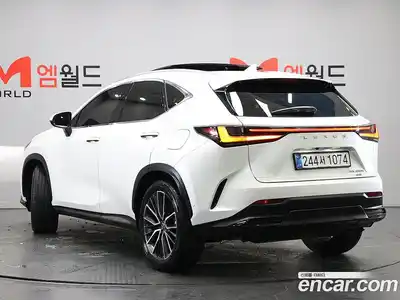 Lexus NX 2025 2.5 гидро в Москве № 1982311, миниатюра 2