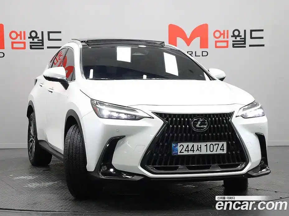 Lexus NX 2025 2.5 гидро в Москве № 1982311, фото 3