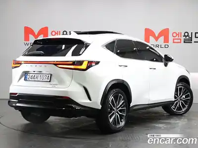 Lexus NX 2025 2.5 гидро в Москве № 1982311, миниатюра 4