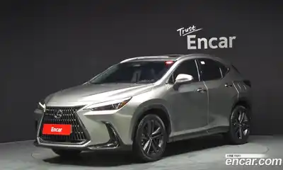 Lexus NX, 2022