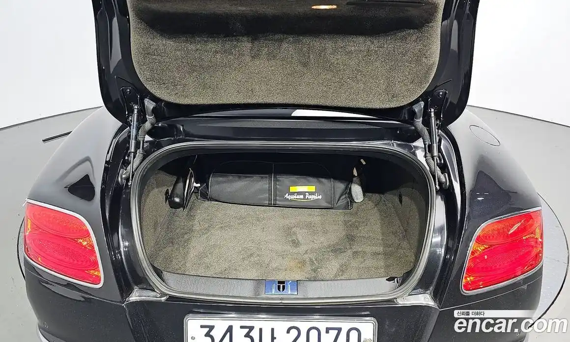 Bentley Continental 2016 6.0 гидро, фото 20