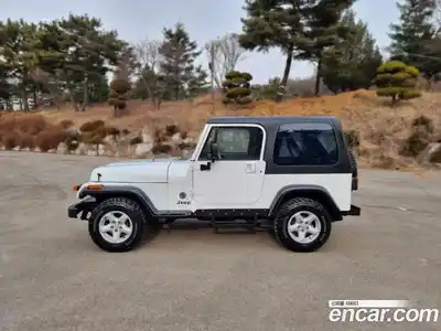 Jeep Wrangler 1993 2.5 механика в Москве № 170097, миниатюра 6