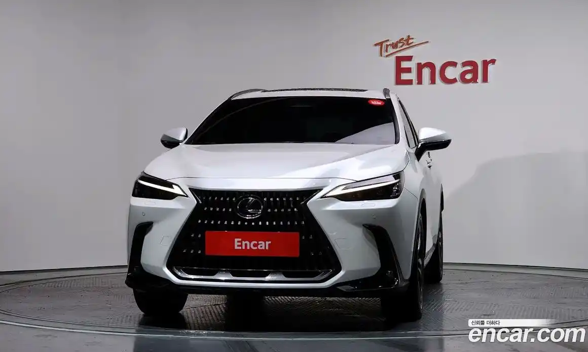 Lexus NX 2024 2.5 гидро в Москве № 198806, фото 3