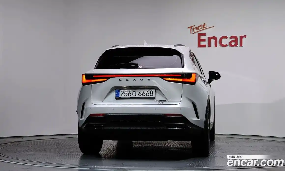 Lexus NX 2024 2.5 гидро в Москве № 198806, фото 4