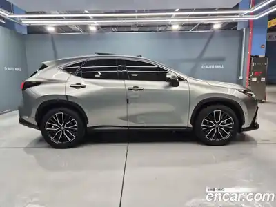Lexus NX 2024 2.5 гидро в Москве № 1982312, миниатюра 4