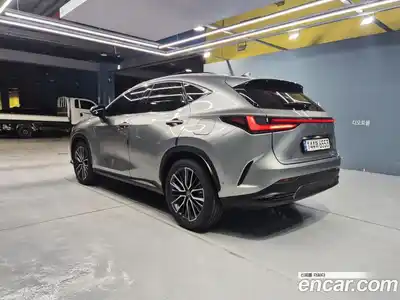 Lexus NX 2024 2.5 гидро в Москве № 1982312, миниатюра 7