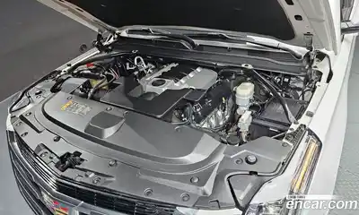 Cadillac Escalade 2020 6.2 гидро в Москве № 256432, миниатюра 6