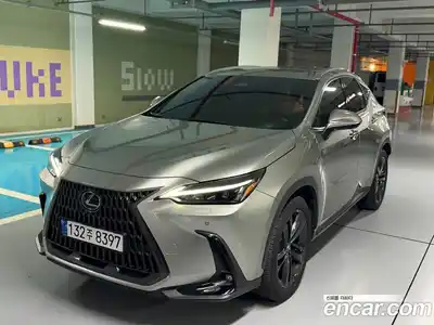 Lexus NX, 2024
