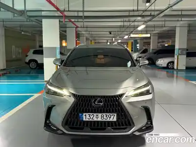 Lexus NX 2024 2.5 гидро в Москве № 2060032, миниатюра 2