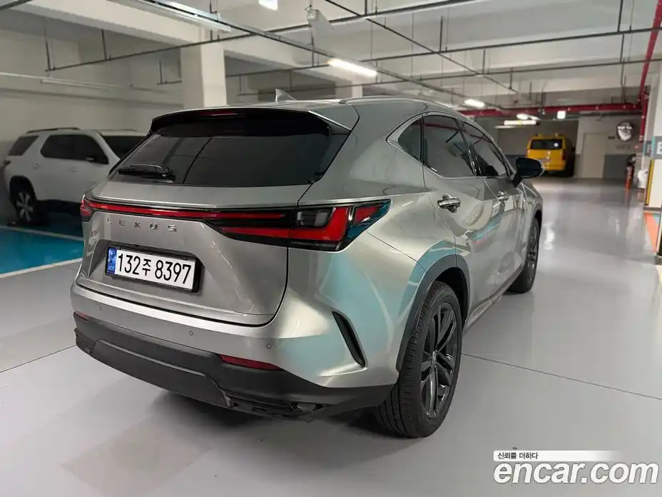 Lexus NX 2024 2.5 гидро в Москве № 2060032, фото 5