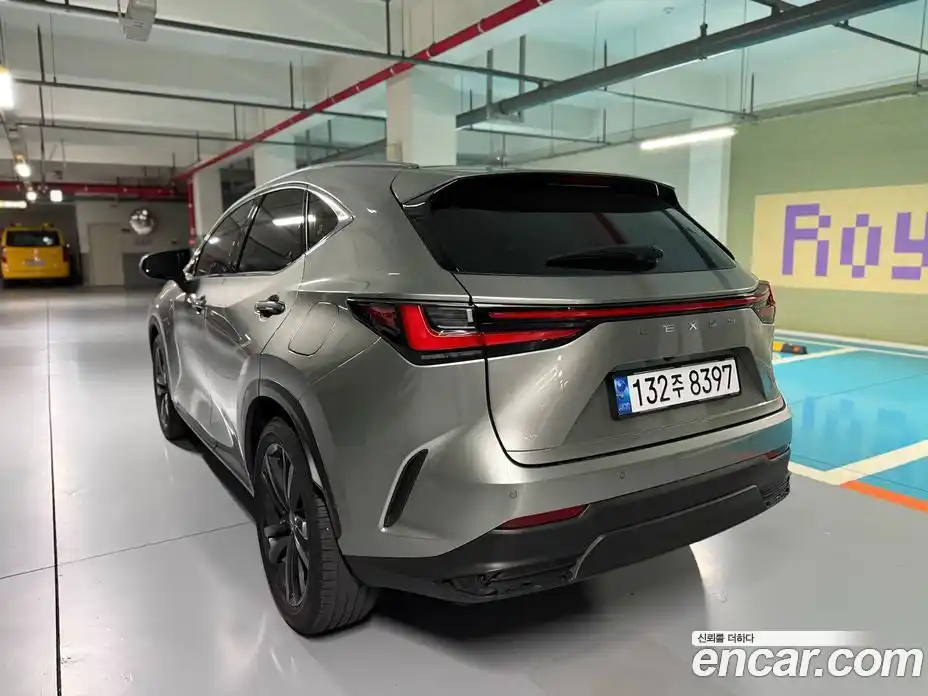 Lexus NX 2024 2.5 гидро в Москве № 2060032, фото 7