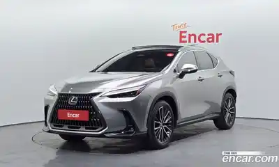 Lexus NX, 2023
