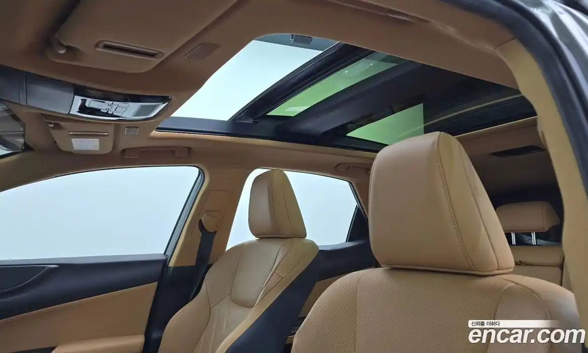 Lexus NX 2023 2.5 гидро в Москве № 168068, фото 19