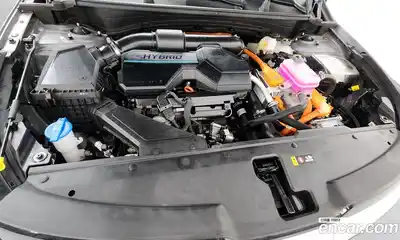 Kia Sportage 2024 1.6 гидро в Москве № 2050789, миниатюра 6