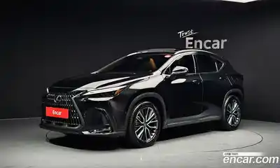 Lexus NX, 2024