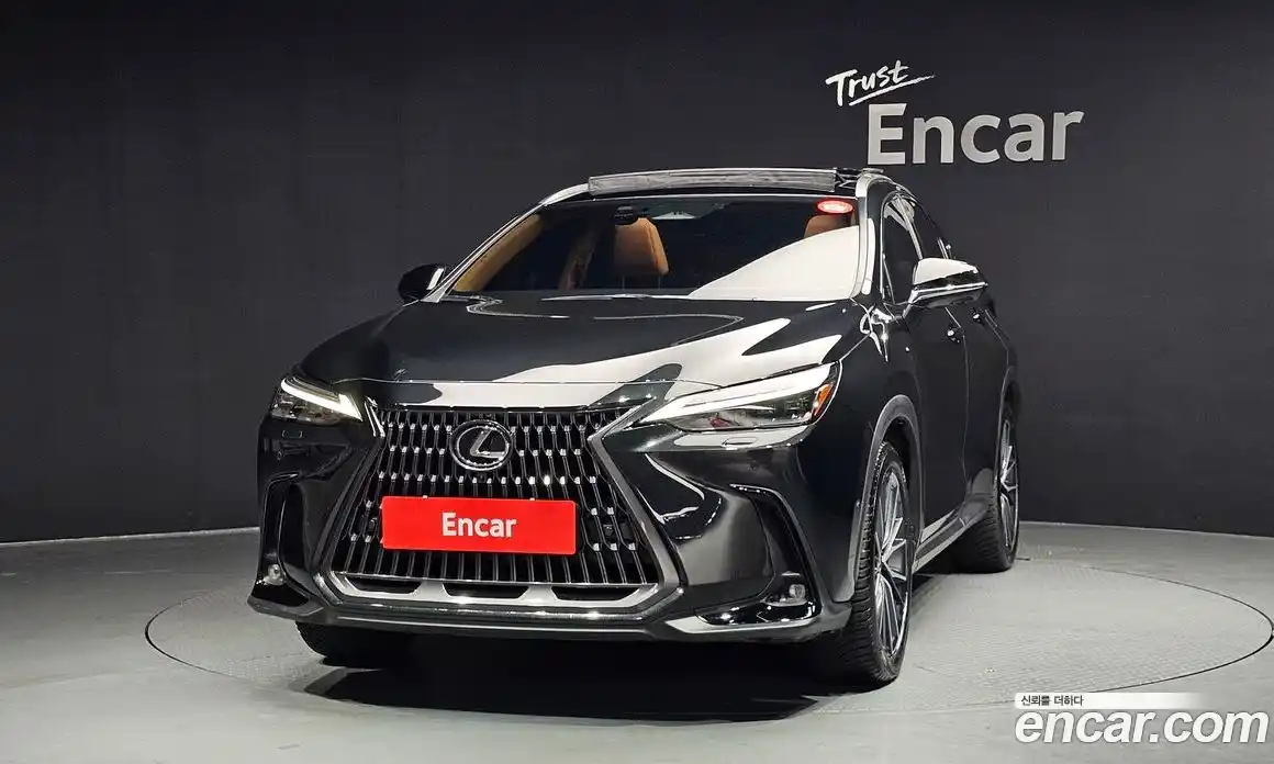 Lexus NX 2024 2.5 гидро в Москве № 168113, фото 3