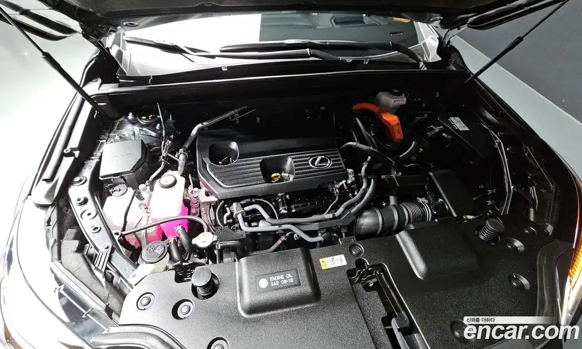 Lexus NX 2024 2.5 гидро в Москве № 168113, фото 6