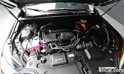 Lexus NX 2024 2.5 гидро в Москве № 168113, миниатюра 6