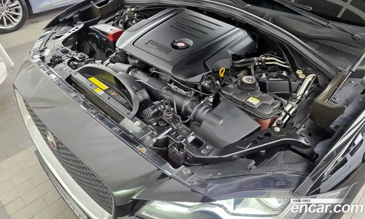 Jaguar F-Pace 2019 2.0 гидро в Москве № 2064656, фото 6