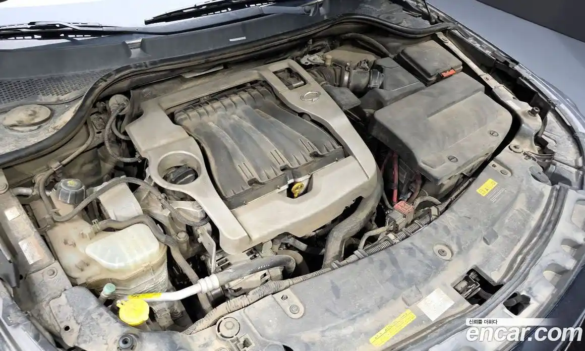 Renault SM5 2011 2.0 гидро в Москве № 2054798, фото 6