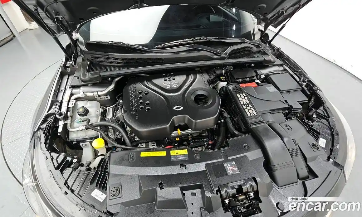 Renault SM6 2019 2.0 гидро в Москве № 2053964, фото 6