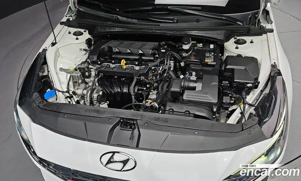Hyundai Avante 2022 1.6 гидро в Москве № 2050161, фото 6