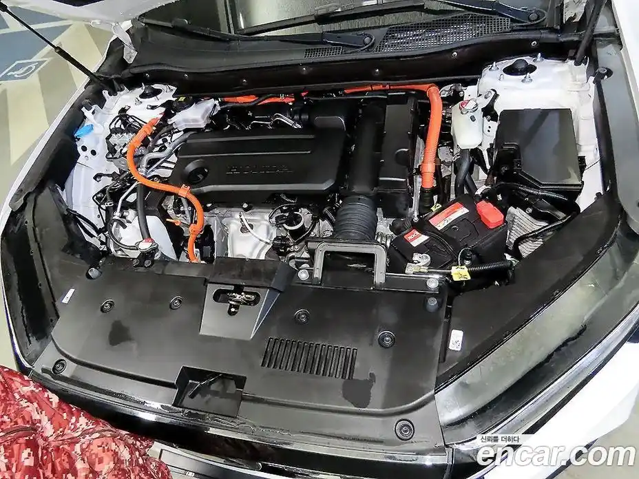 Honda CR-V 2024 2.0 гидро в Москве № 2062773, фото 6