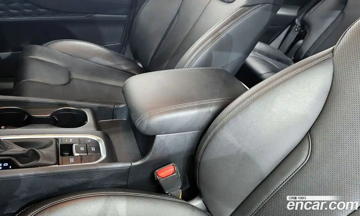 Hyundai Santa Fe 2019 2.0 гидро в Москве № 2049754, фото 27