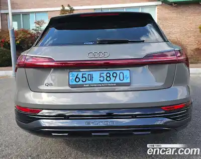 Audi Q8 e-tron 2024 гидро в Москве № 2057640, миниатюра 4