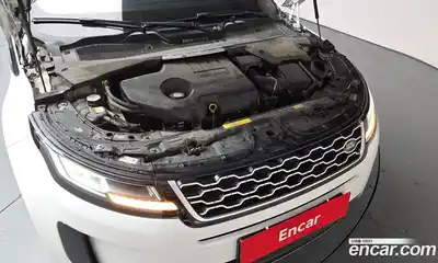 Land Rover Range-Rover Evoque 2020 2.0 гидро в Москве № 2058823, миниатюра 5