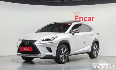 Lexus NX, 2019
