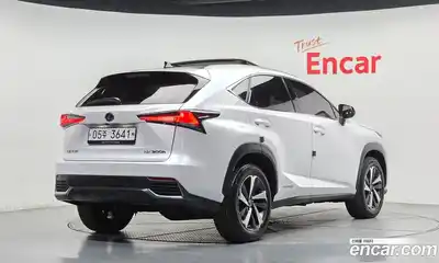 Lexus NX 2019 2.5 гидро в Москве № 2132306, миниатюра 2
