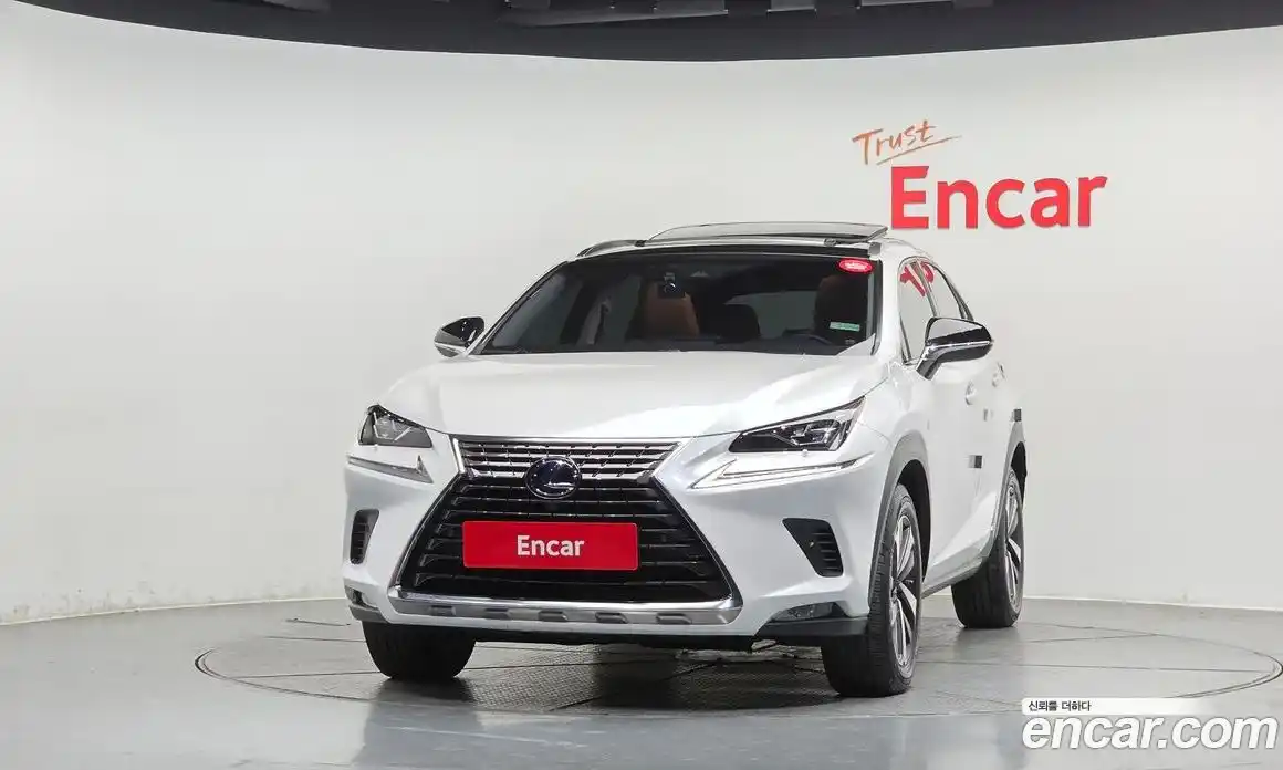 Lexus NX 2019 2.5 гидро в Москве № 2132306, фото 3