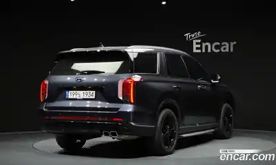 Hyundai Palisade 2022 2.2 гидро в Москве № 2123652, миниатюра 2