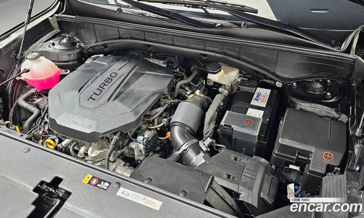 Kia Sorento 2023 2.2 гидро в Москве № 2124585, фото 6