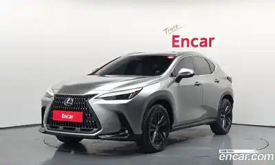 Lexus NX, 2025