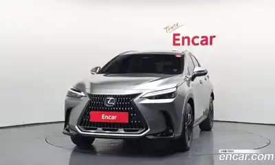 Lexus NX 2025 2.5 гидро в Москве № 2132288, миниатюра 3