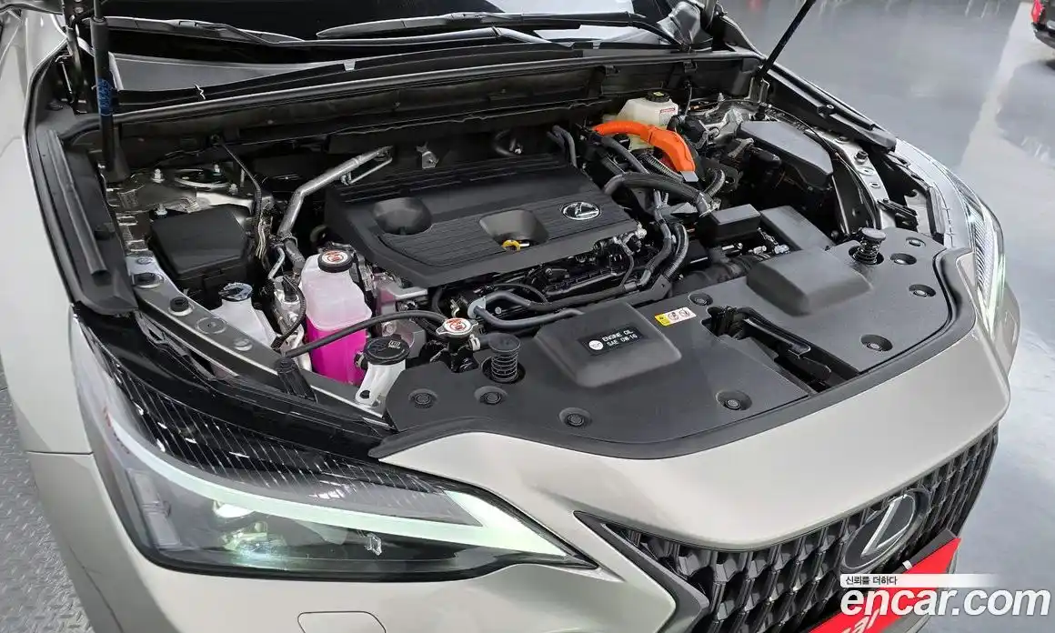Lexus NX 2025 2.5 гидро в Москве № 2132288, фото 6