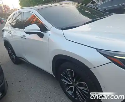Lexus NX 2023 2.5 гидро в Москве № 2132357, миниатюра 2
