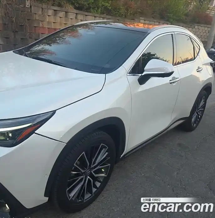 Lexus NX 2023 2.5 гидро в Москве № 2132357, фото 3