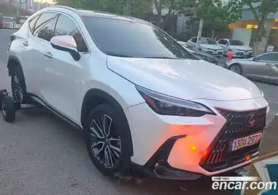 Lexus NX 2023 2.5 гидро в Москве № 2132357, миниатюра 4