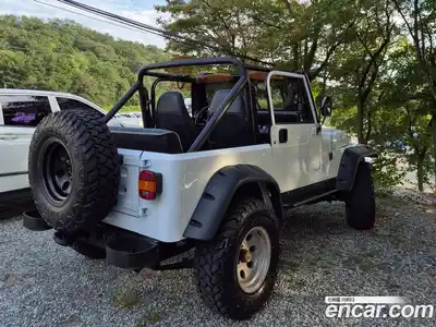 Jeep Wrangler 1992 2.5 механика в Москве № 169936, миниатюра 2