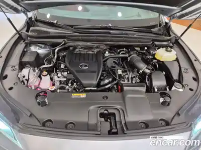 Lexus RX 2025 2.4 гидро в Москве № 2132348, миниатюра 5