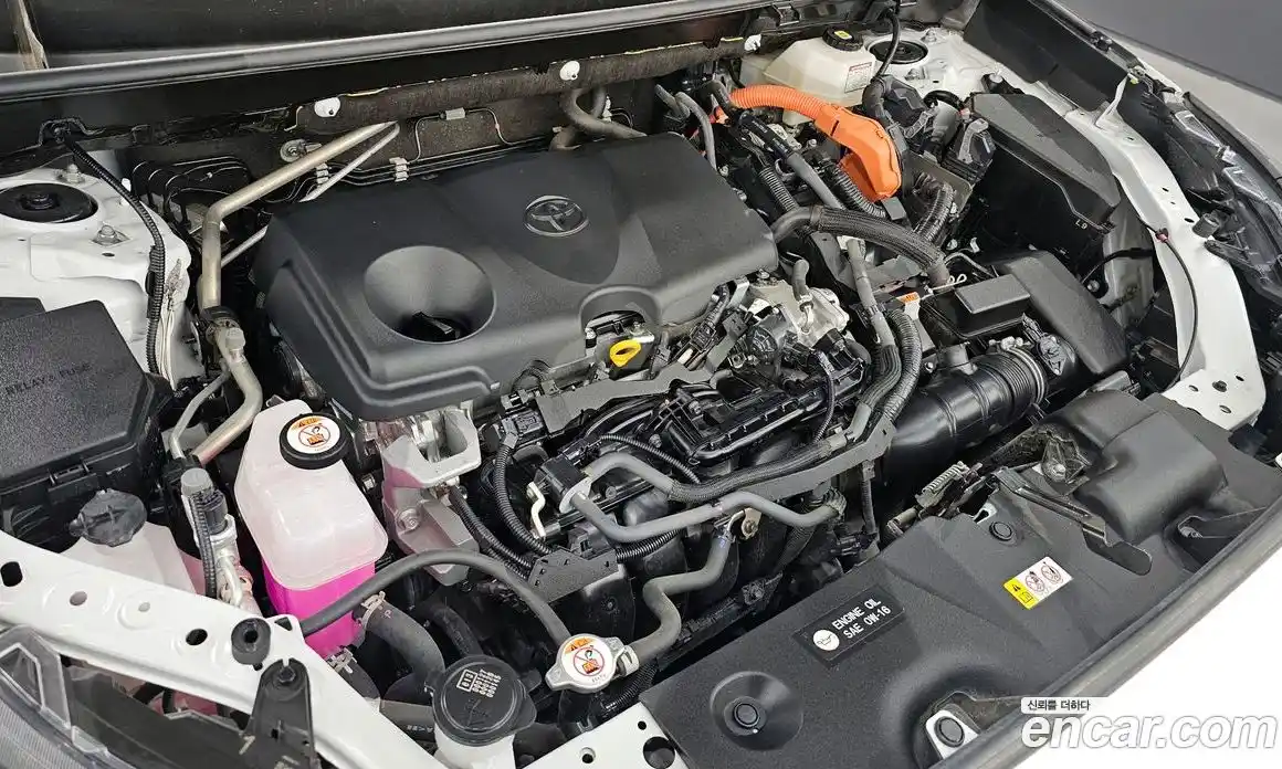 Toyota RAV4 2024 2.5 гидро в Москве № 2132935, фото 6