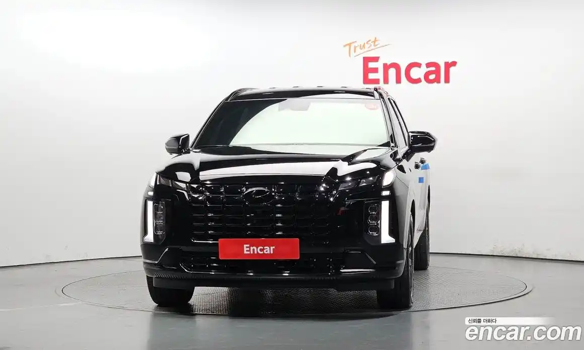 Hyundai Palisade 2024 3.8 гидро в Москве № 2123097, фото 3