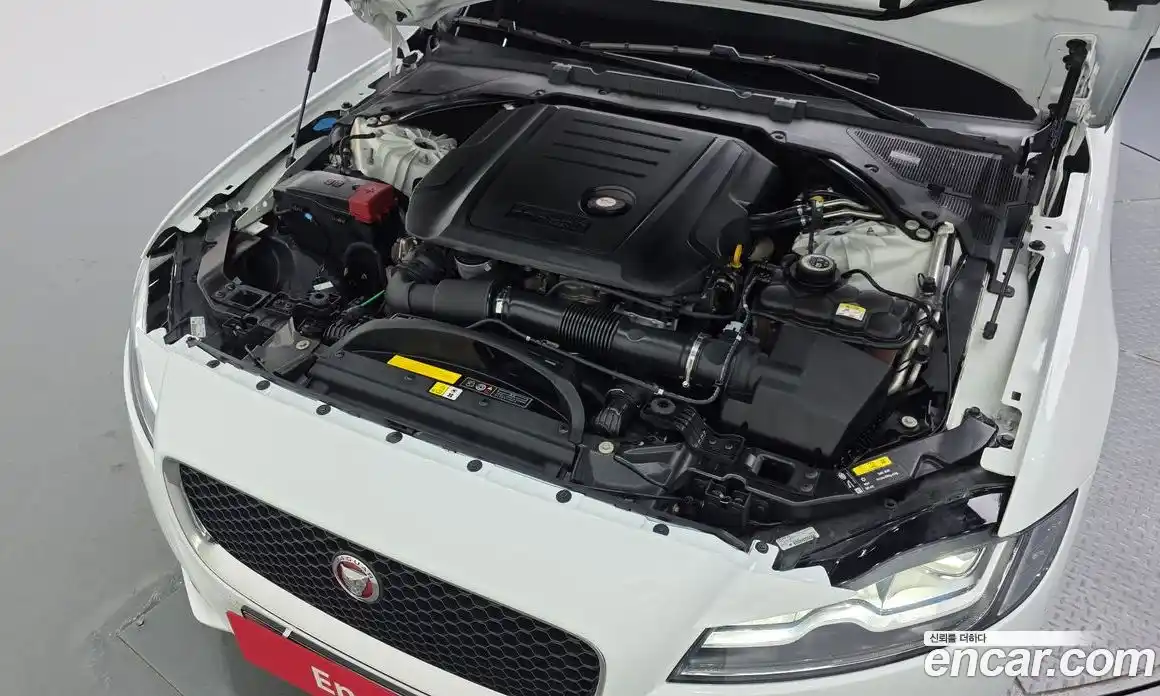 Jaguar XF 2019 2.0 гидро в Москве № 2133856, фото 6