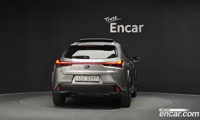 Lexus UX 2020 2.0 гидро в Москве № 2132299, миниатюра 4