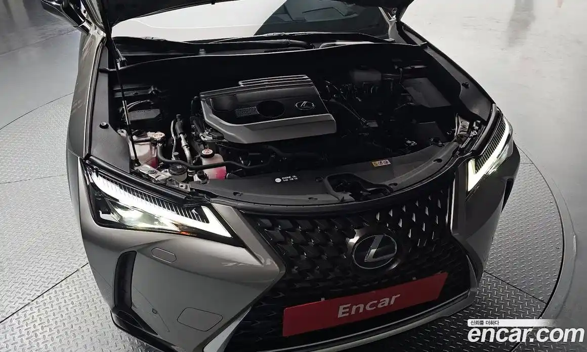 Lexus UX 2020 2.0 гидро в Москве № 2132299, фото 6