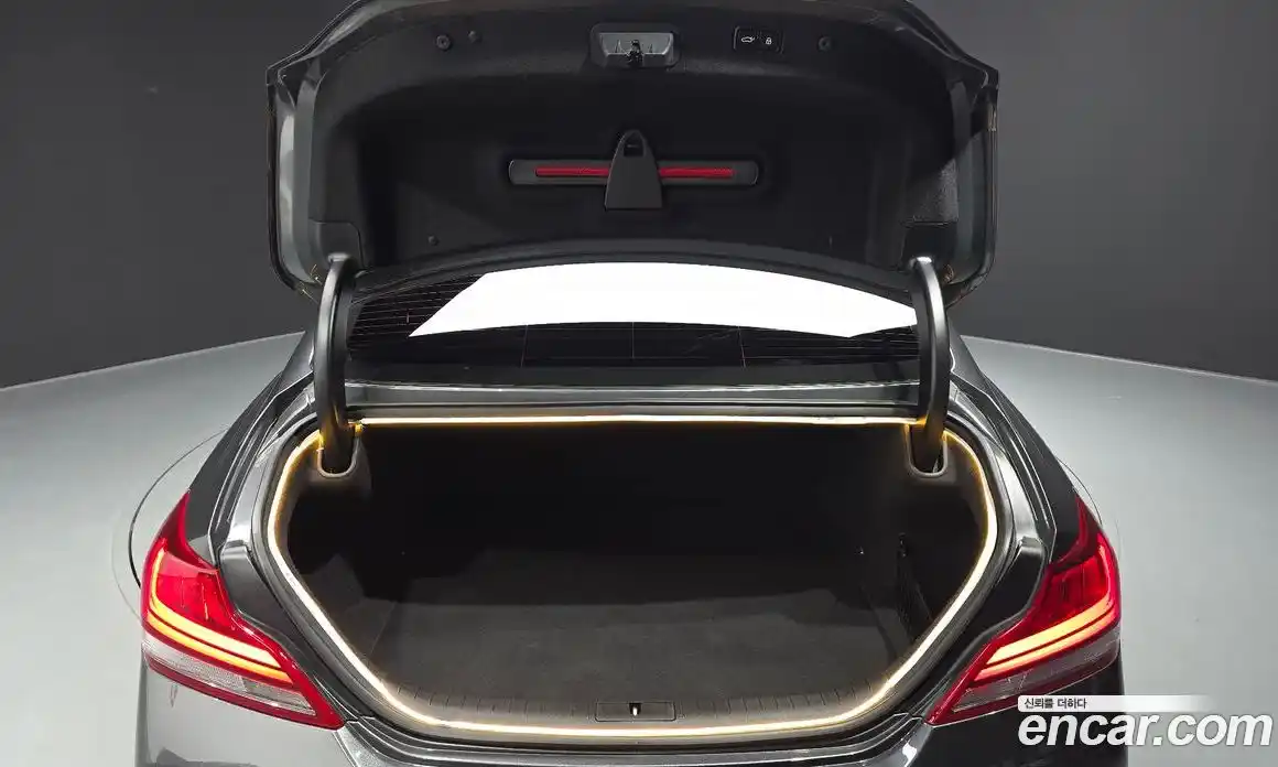 Genesis G70 2019 2.0 гидро в Москве, фото 20