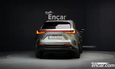Lexus NX 2025 2.5 гидро, миниатюра 4